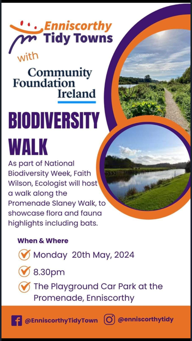 Flyer: Enniscorthy Tidy Towns Biodiversity Walk