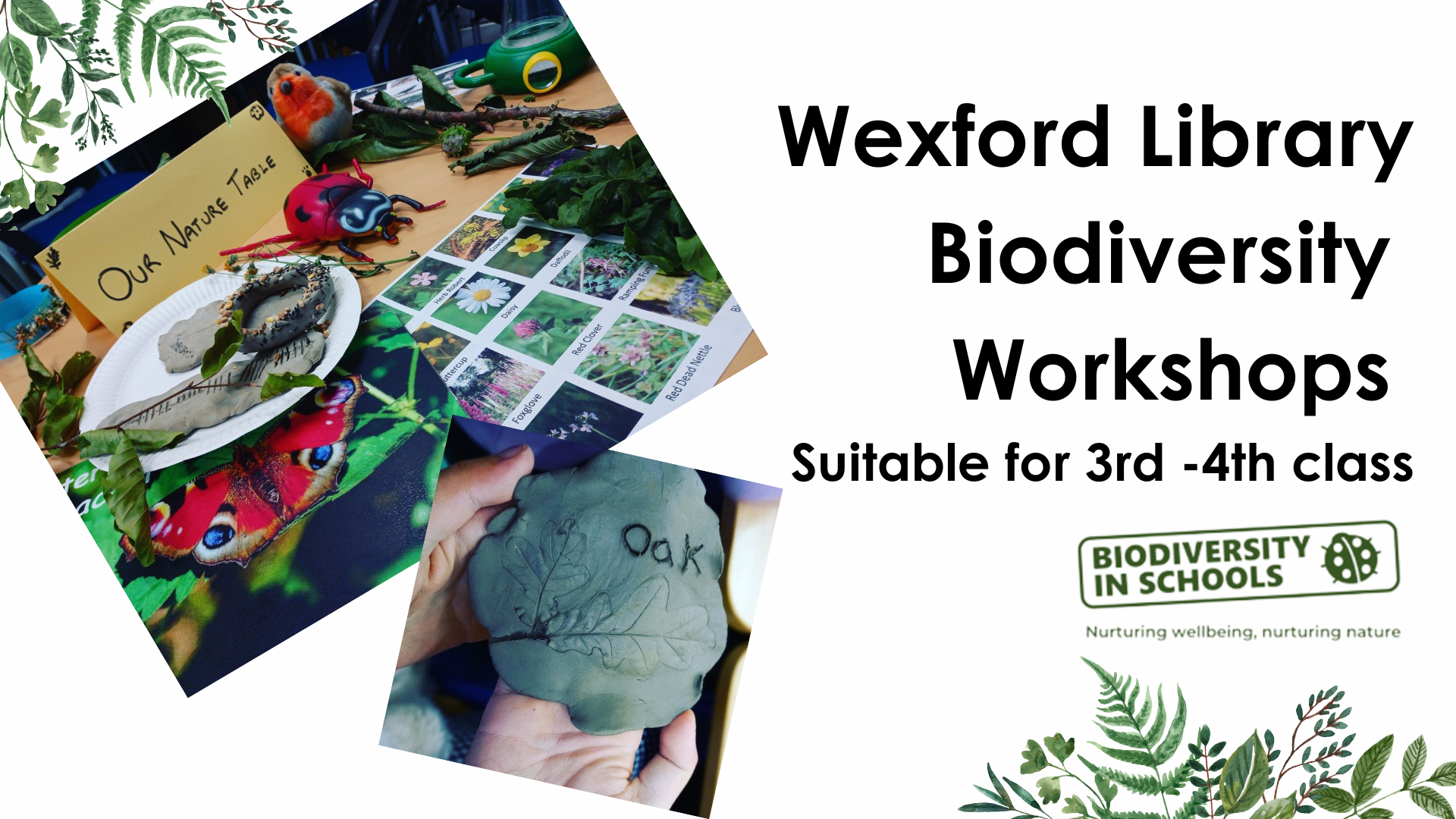 Banner: Wexford Library Biodiversity Workshops - Suitable for 3rd to 4th class