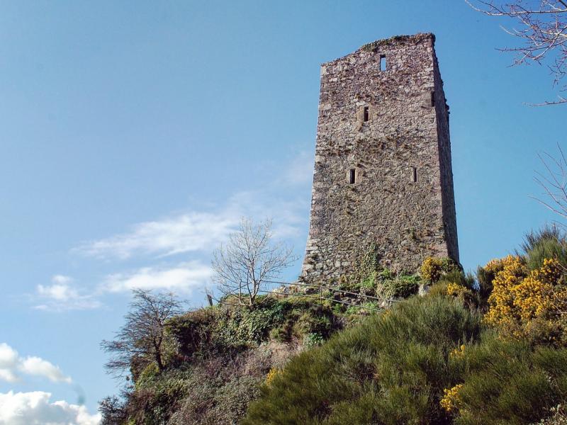 Wexford Heritage Plan