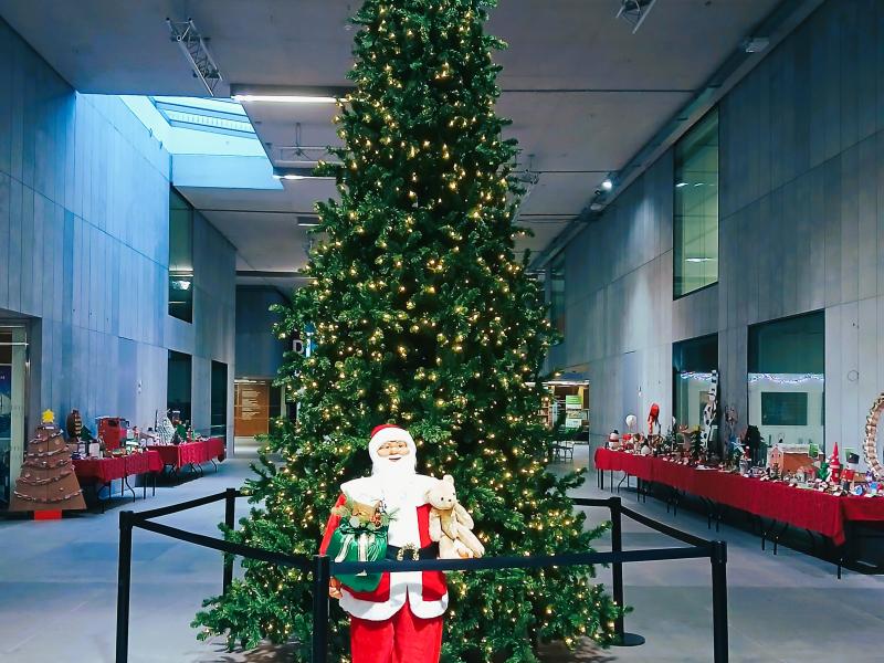 Christmas Tree at Wexford County Council