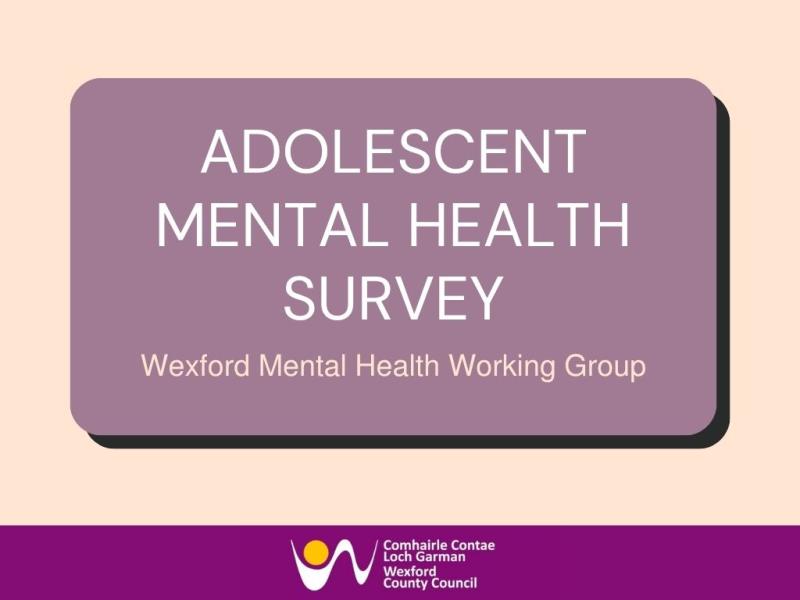 Adolescent Mental Health Survey