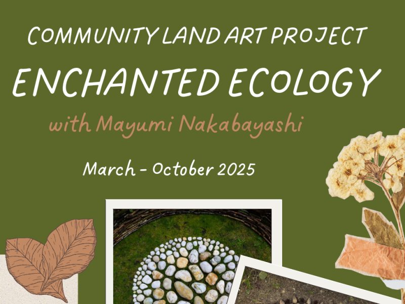 Redmond Park Community Land Art Project - Enchanted Ecology with Mayumi Nakabayashi