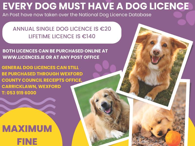 Do you have a dog? If so, you need a licence - under the Control of Dogs Act 1986 all dog owners are required to have a dog lice